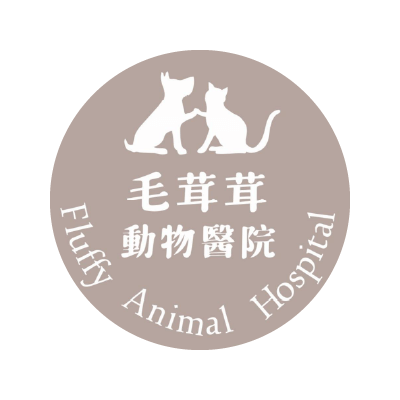 S104689毛茸茸動物醫院