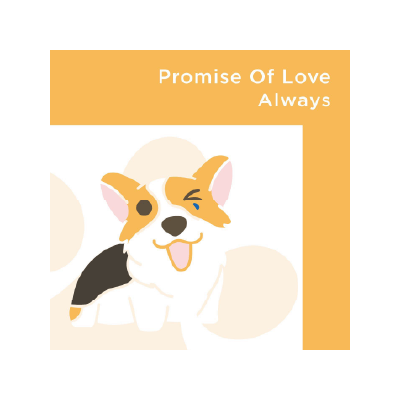 S105895波拉動物醫院