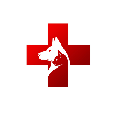 S101281中華動物醫院