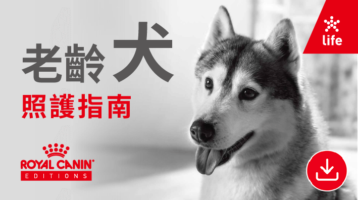 02.2025老齡犬照護指南final